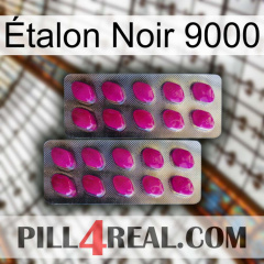 Étalon Noir 9000 10